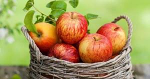 Разгрузочный день на яблоках: правила и варианты
