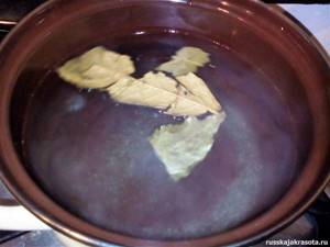 Капуста Пелюстка с буряком – рецепт вкусной закуски (фото)