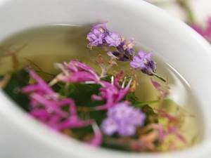 Можно ли пить шалфей как чай —польза лекарственного растения