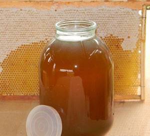 Кориандровый мед – огромная польза для организма