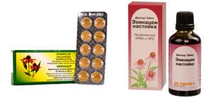 Эхинацея: инструкция по применению для таблеток и экстрактов, в чем разница между капсулами и каплями