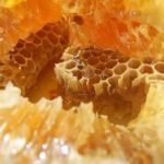 Лечение желудка медом: лечим язвы и гастриты