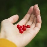 Клюква при грудном вскармливании: полезные свойства болотной ягоды