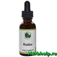 Кудзу: польза и вред от растения, состав и лечебные свойства экстракта корня kudzu, отзывы о препарате