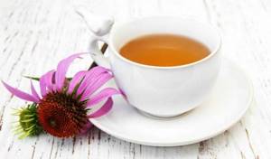 Чай с эхинацеей для укрепления иммунитета у детей и взрослых