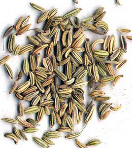 Семена фенхеля: влияние на организм и способы применения