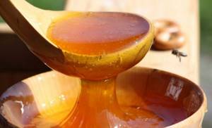 Репа с медом: рецепт приготовления и польза для здоровья