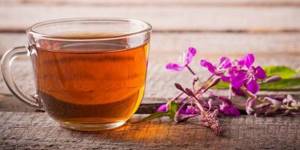 Иван чай – секреты заготовки и правила использования