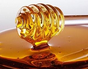 Мед молочай: полезные свойства и качества