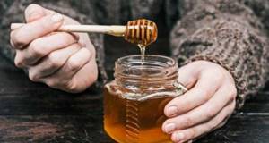 Мед с пыльцой – полезные свойства и показания