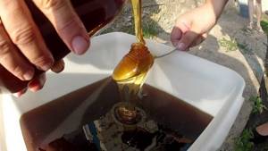 Лечение геморроя медом: рецепты нетрадиционной медицины