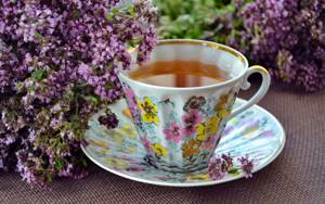 Чай с душицей: польза и вред, способ заваривания