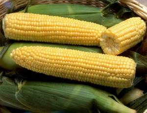 Кукуруза для попкорна – выбора сорта до и приготовление
