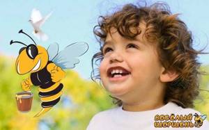Пчелиная перга: что это такое и чем она отличается от пыльцы