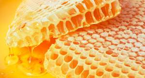 Пчелиный забрус: все о пользе и свойствах этого продукта