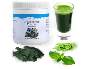 Хлорофилл: польза и вред зеленой крови растений, где содержится в больших количествах, как правильно принимать