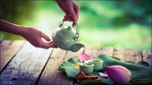 Чай из лотоса: состав, аромат, польза