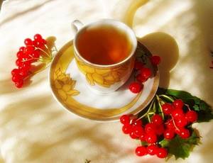 Чай с калиной – традиции предков для современных людей.