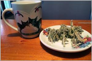 Мурсальский чай: полезные свойства и аналоги