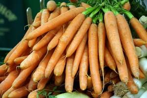 Морковный чай: польза и вред, способы приготовления
