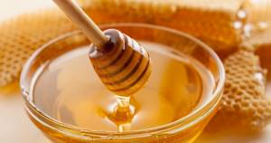 Лесной мед: чем отличается и в чем его польза?