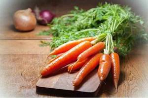 Где содержится каротин: список продуктов, какой из корнеплодов содержит его больше всего – тыква или морковь