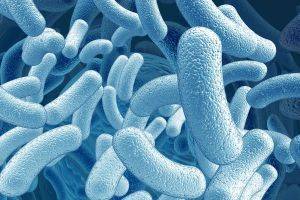 Пробиотики при приеме антибиотиков — особенности применения