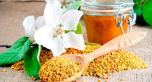 Пыльца пчелиная: полезные свойства и рекомендации