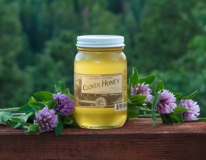 Клеверный мёд – волшебный эликсир здоровья и красоты