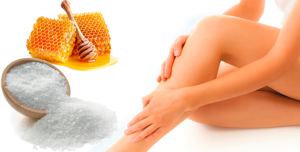 Мед расторопша: лечебные свойства и возможности применения
