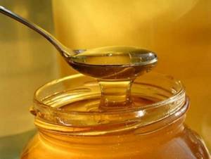 Мед для сердца: польза и народные рецепты