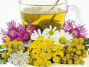 Желчегонный чай: что это, как принимать и какие травы содержит