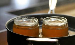 Хрен с медом – рецепт и полезные свойства смеси