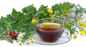 Желчегонный чай: что это, как принимать и какие травы содержит
