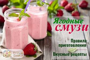 Смузи из замороженных ягод—рецепты приготовления