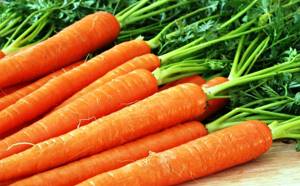 Морковь с медом: польза для здоровья и рецепты приготовления