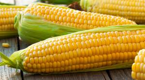 Чем полезна кукуруза и способна ли она причинить вред