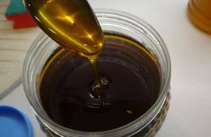 Чернокленовый мед: полезные свойства и уникальный состав