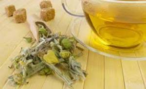 Горный чай – эликсир долголетия от греческих пастухов