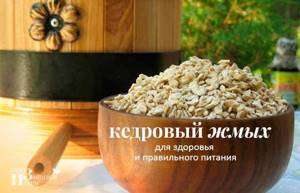 Жмых кедрового ореха: применение и полезные свойства, что полезного можно из него сделать