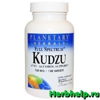 Кудзу: польза и вред от растения, состав и лечебные свойства экстракта корня kudzu, отзывы о препарате