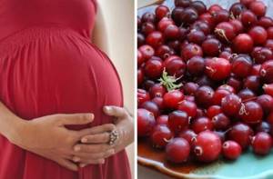 Клюква при беременности — безопасное лечение заболеваний