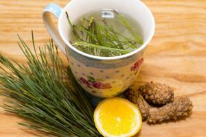 Чай из сосновых иголок: способы применения