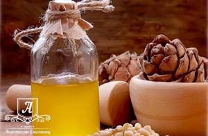 Кедровое масло: лечебные свойства и противопоказания, что полезного оно приносит организму и сколько стоит