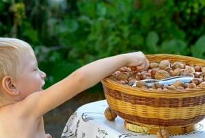 Кедровые орехи детям: с какого возраста можно употреблять в пищу, польза и вред от продукта
