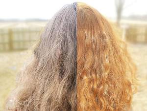 Натуральная краска для волос от седины – красота волос без вреда