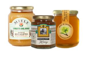 Эвкалиптовый мед – основные характеристики и свойства продукта