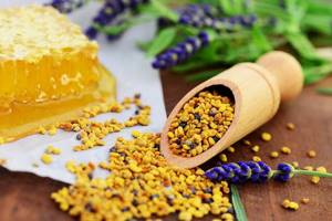 Пчелиная пыльца: полезные свойства уникального продукта пчеловодства