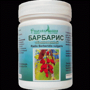 Настойка барбариса: лучшие рецепты натурального лекарства