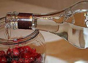 Настойка из граната на водке – рецепты приготовления ароматного напитка